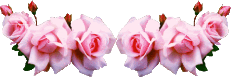 ROSASMEDIANAS.gif