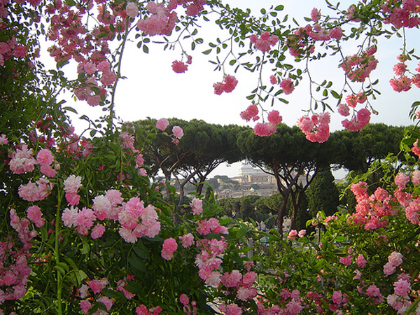 roseto-comunale[1].jpeg