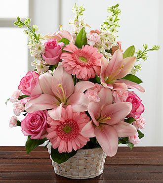 S17-4989D_330x370.jpg