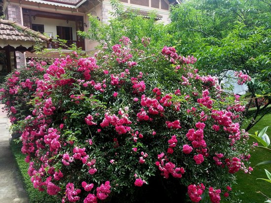 sapa-garden-bed-and-breakfast[1].jpg