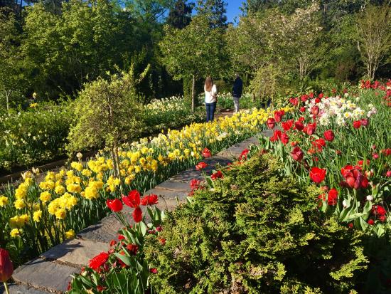 sarah-p-duke-gardens[1].jpg
