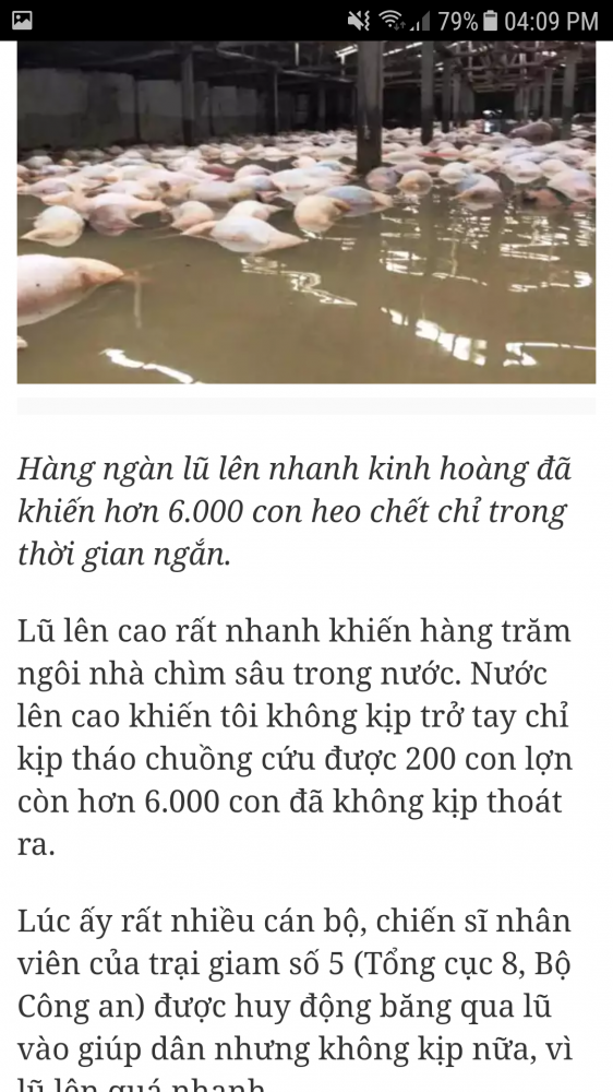 Screenshot_20171014-160920.png