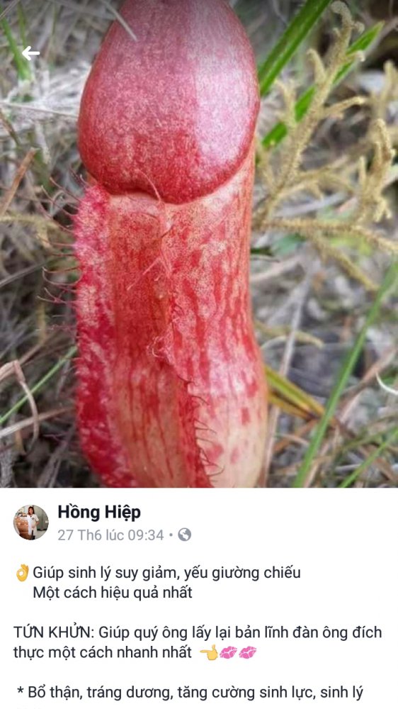 Screenshot_20181004-102053.jpg
