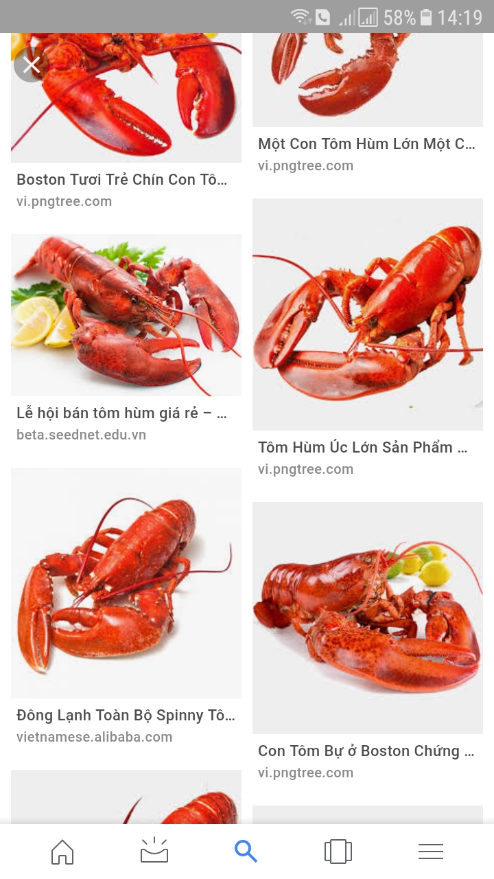 Screenshot_20190411-141907.jpg