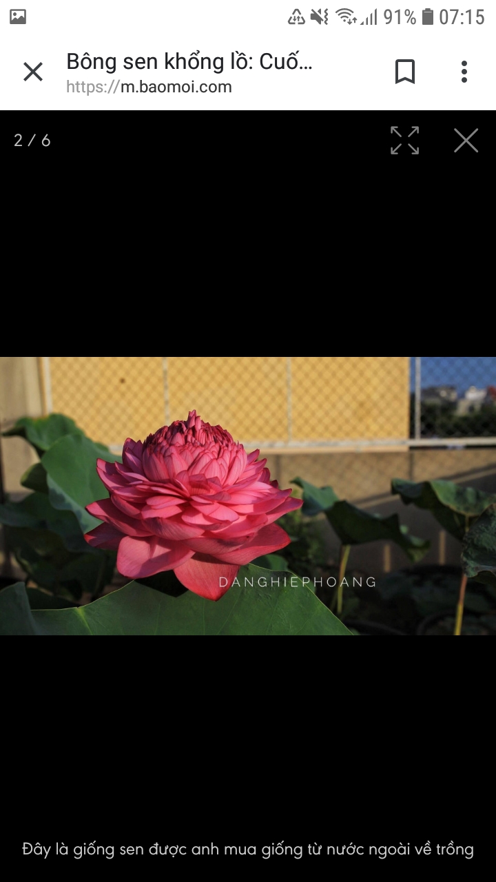 Screenshot_20190530-071513_Chrome.jpg