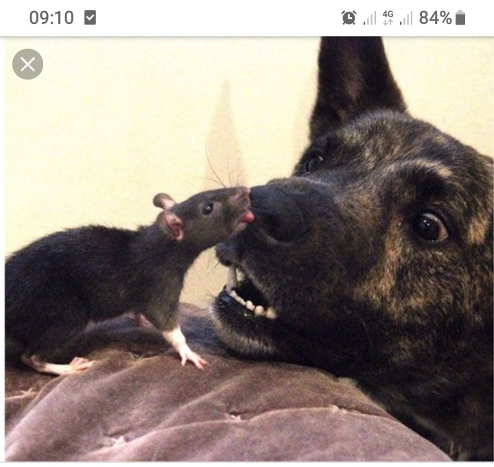 Screenshot_20190615-091055_Google.jpg