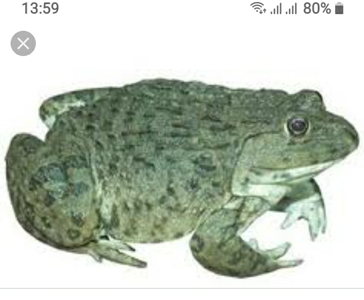 Screenshot_20220501-135948_Google.jpg