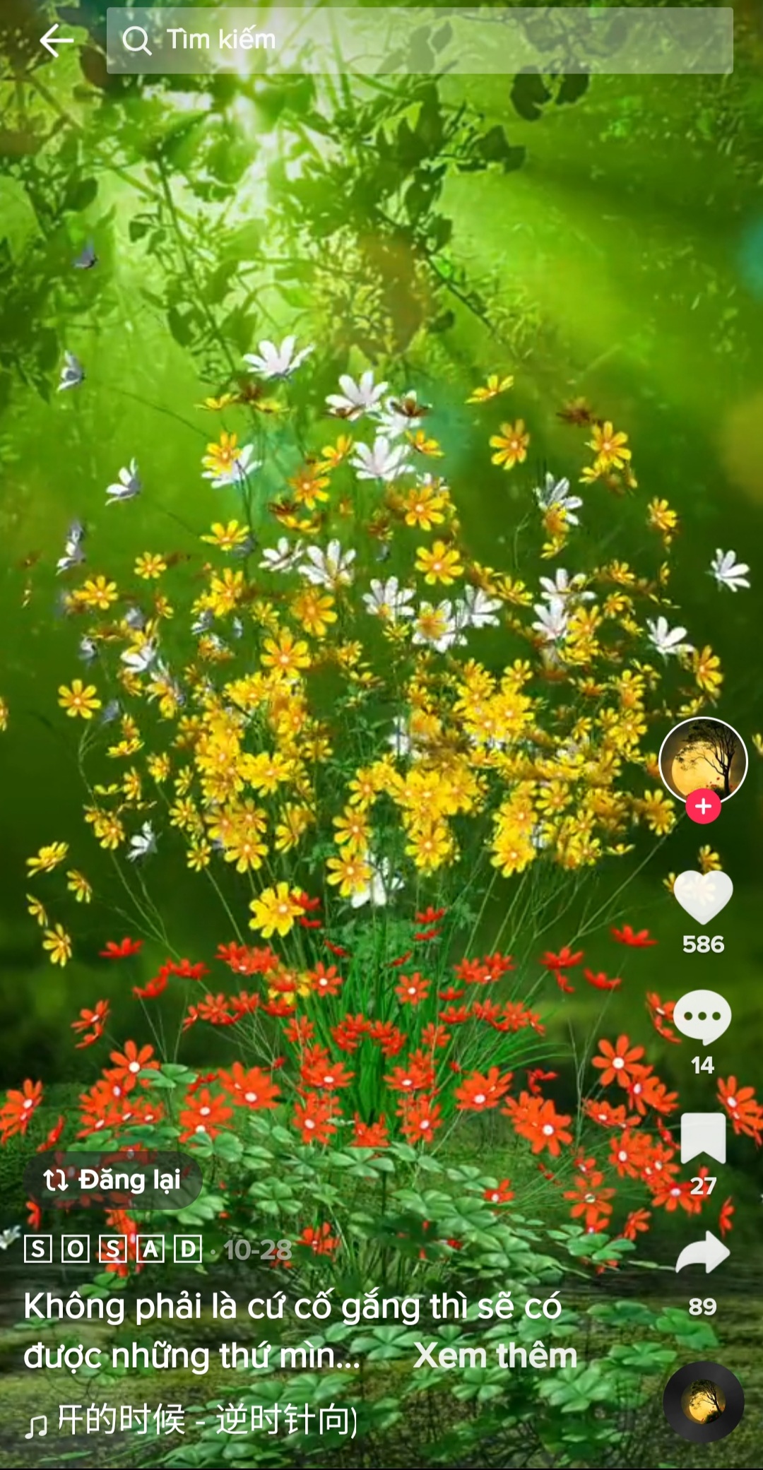 Screenshot_20221121-115118_TikTok.jpg