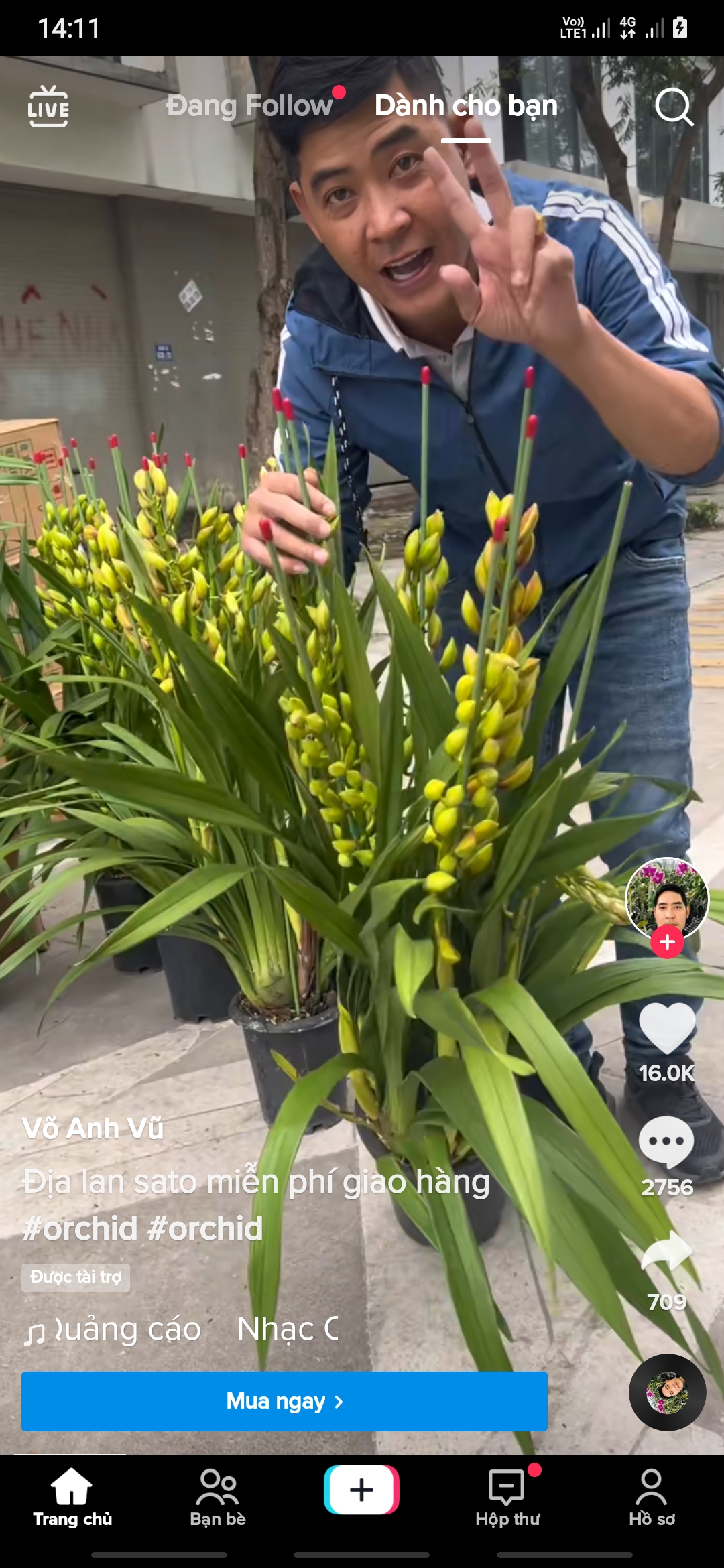 Screenshot_20230107-141139_TikTok.jpg
