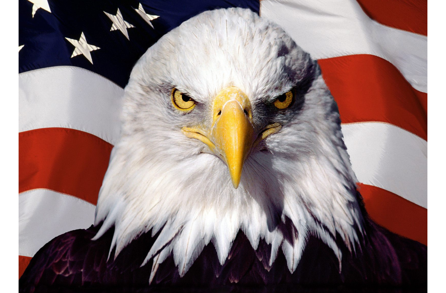 Screenshot_20230109-103331~2.png