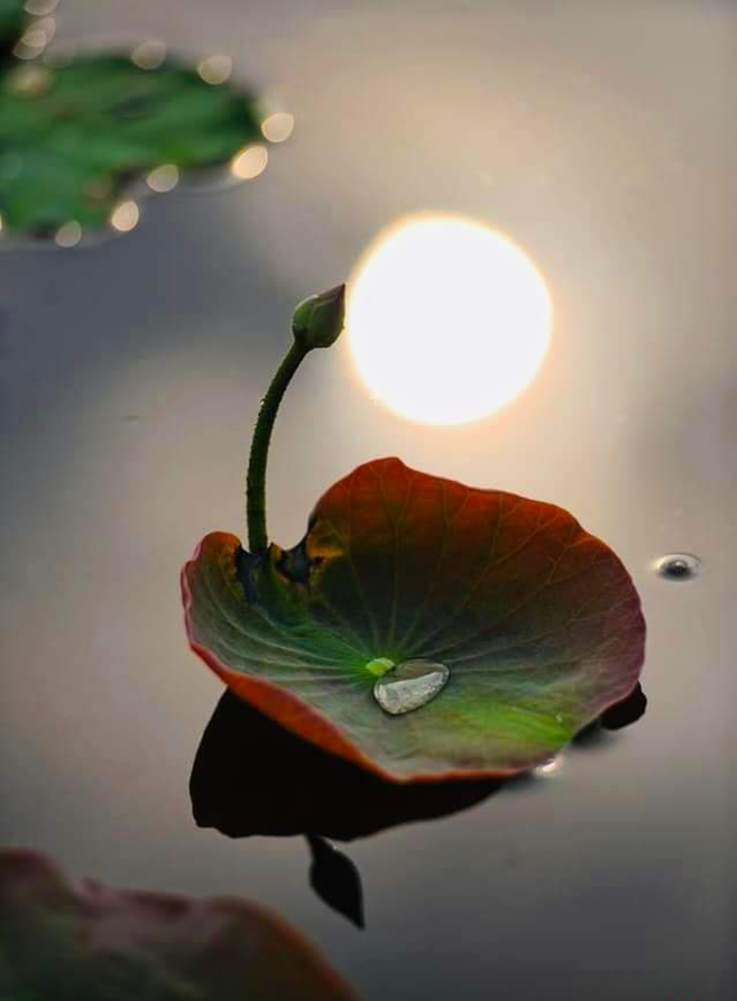 Screenshot_20230112-105330.png