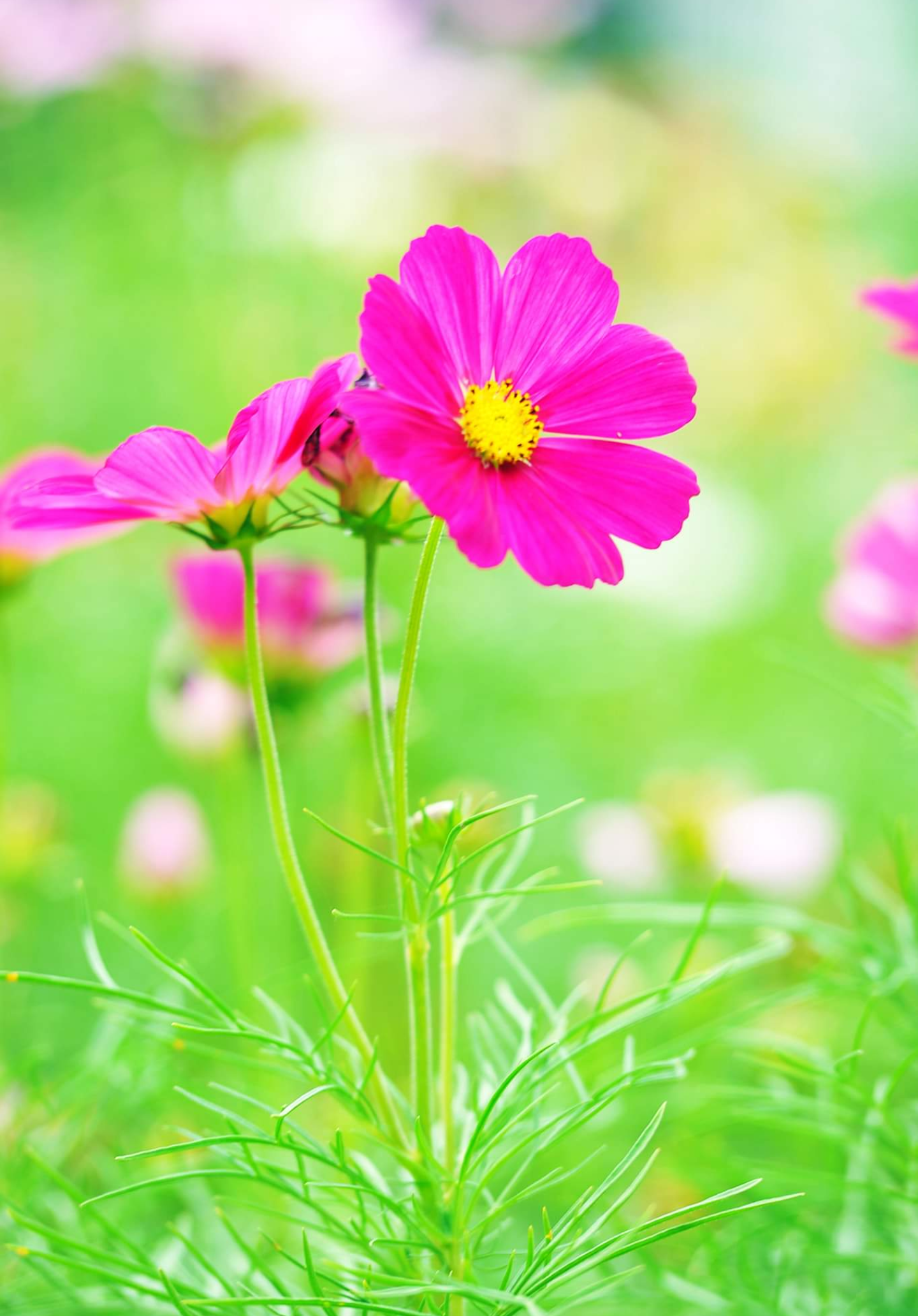 Screenshot_20230120-232013.png