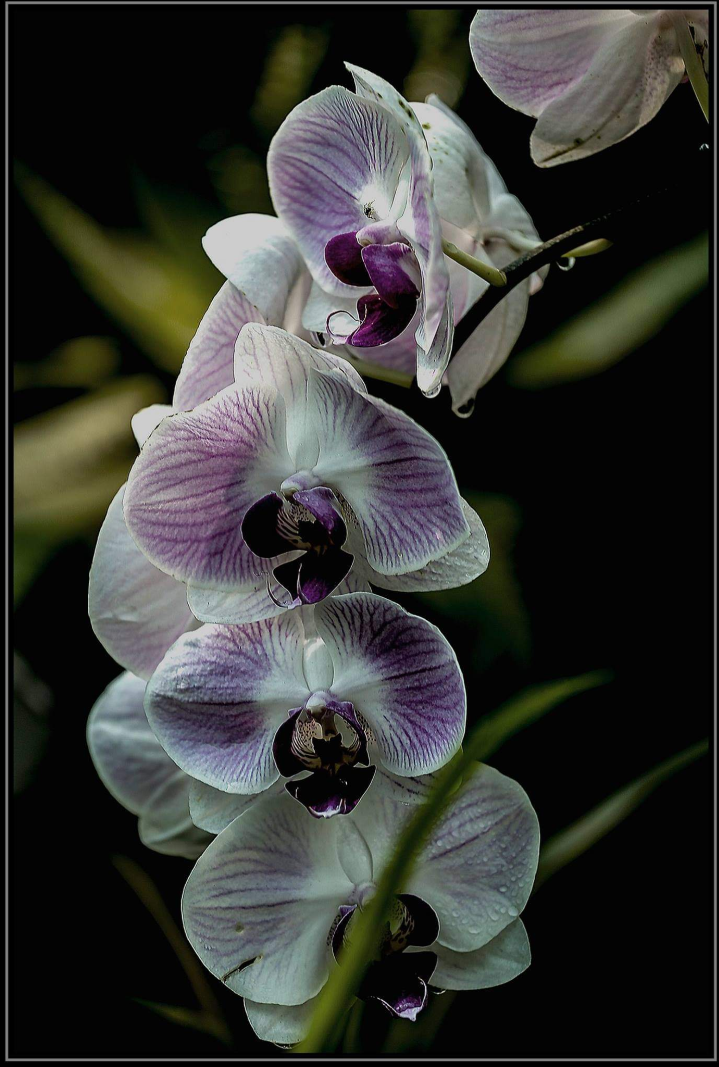 Screenshot_20230130-214229.png