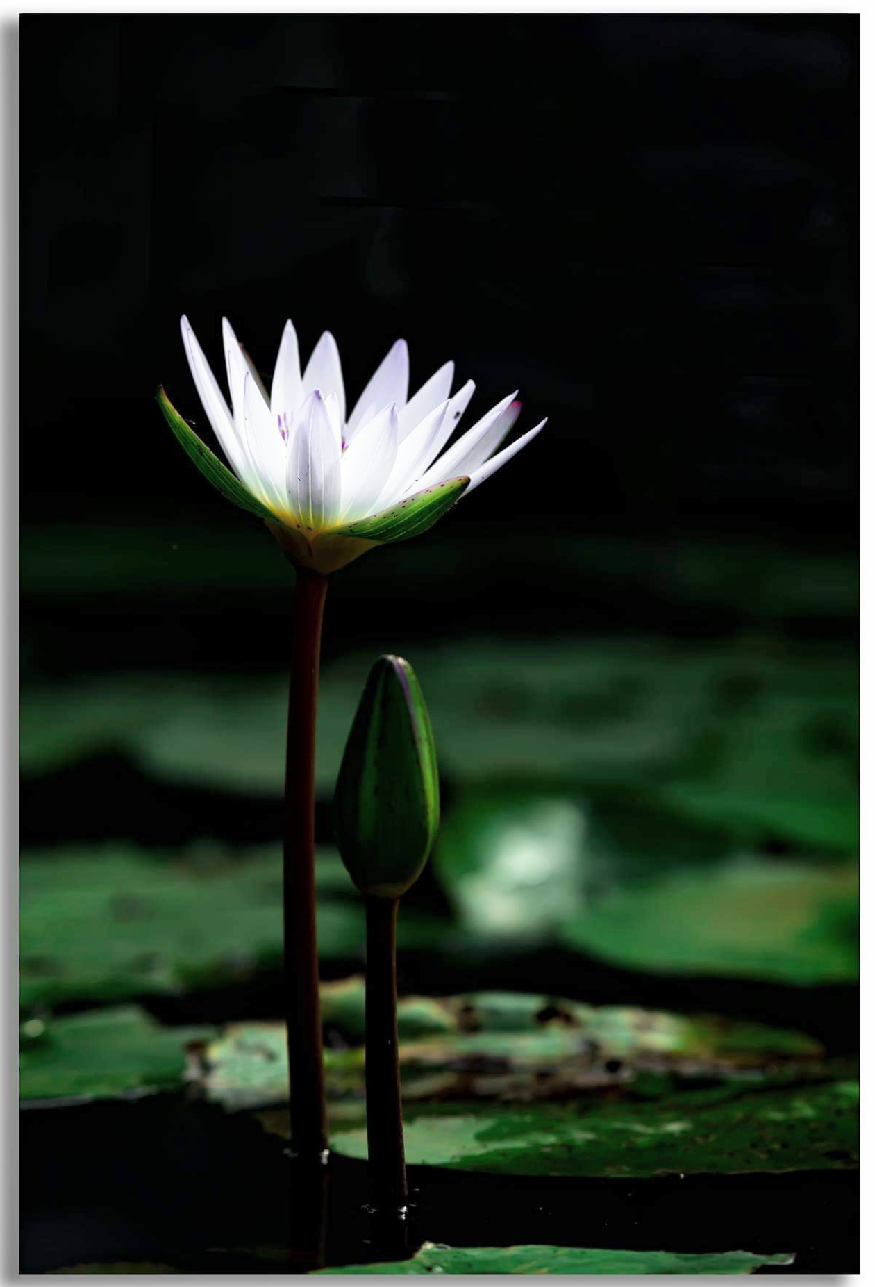 Screenshot_20230131-210725.png