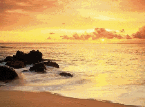 sea[1].gif