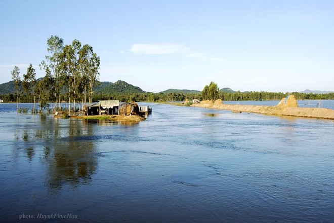Songchungvoilu1[1].jpg