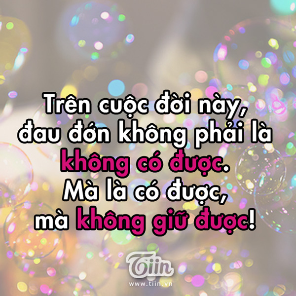 stt-that-tinh-12.jpg