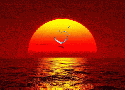 sunset-sea-gulls-anim%2B%25281%2529[1].gif