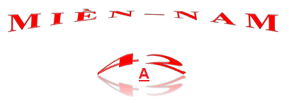 t3.PNG