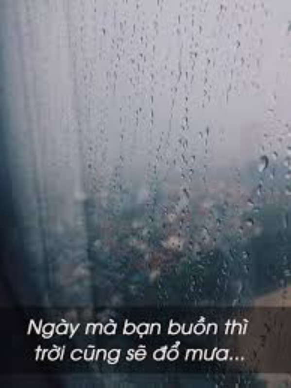 tải xuống.jpeg