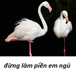 tải xuống.jpghac.jpg
