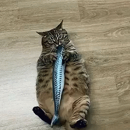tenor (1).gif