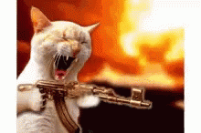 tenor.gif