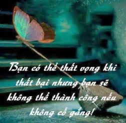 th (9).jpg
