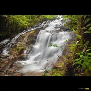 th (9).jpg