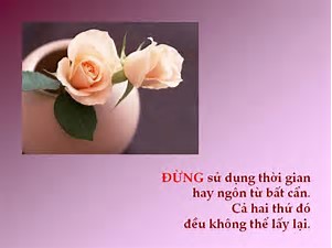 thDE7BS9RY.jpg