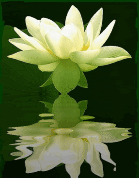 thien2_zps5c5b6d42[1].gif