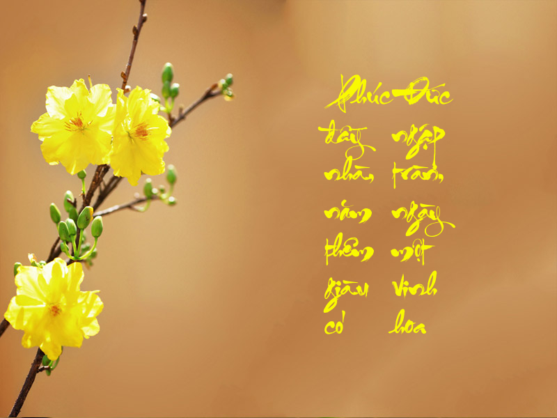 Thiepmung.com_pic_5a866dd295851.jpg