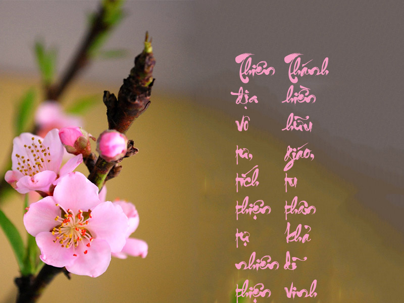Thiepmung.com_pic_5a867a12999b6.jpg