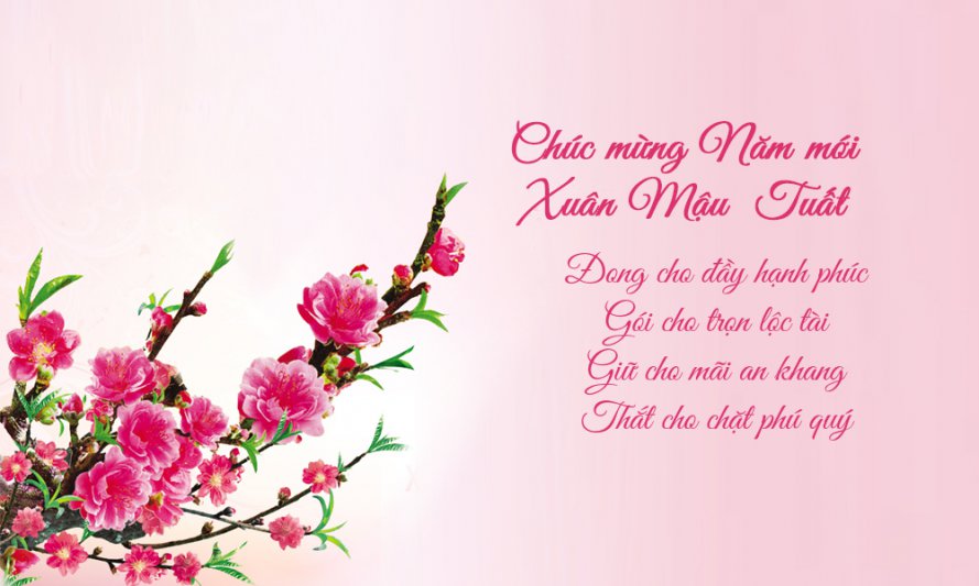 Thiepmung.com_pic_5a868f912baaf.jpg