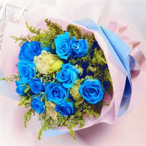 thQ6582BFN.jpg
