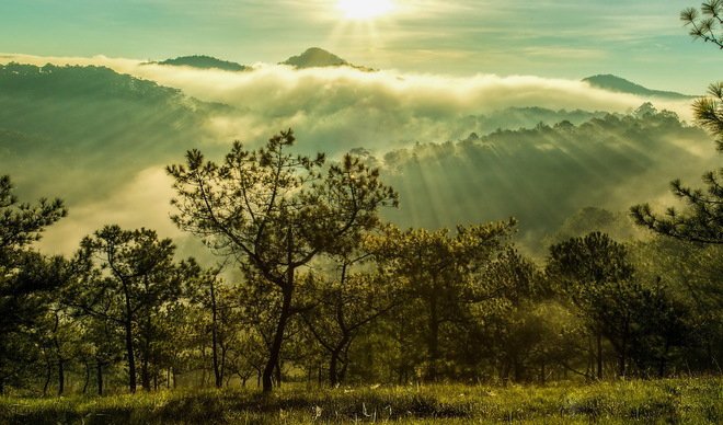 tinhhoa.net-UDcBui-20141006-da-lat-bong-benh-trong-suong-som[1].jpg