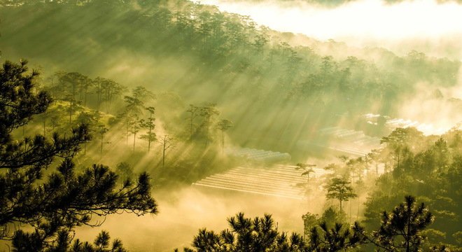 tinhhoa.net-UyLvrK-20141006-da-lat-bong-benh-trong-suong-som[1].jpg