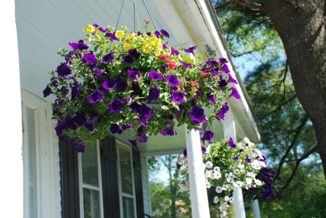 tiny-farmhouse-front-porch-hanging-flowers-tiny-farmhouse-640x428[1].jpg