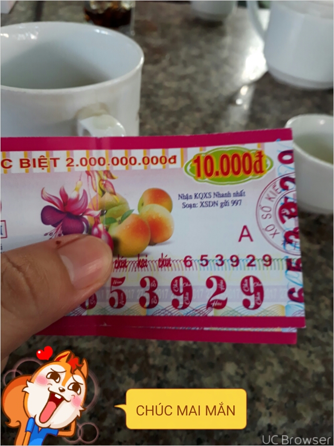 TMPDOODLE1506470896576.jpg
