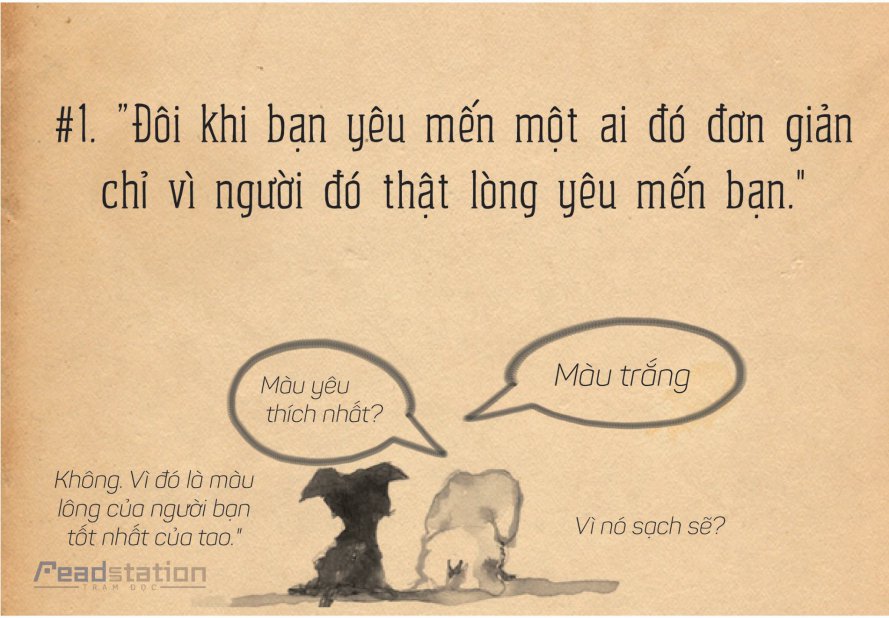 Tôi là Bê Tô 1.jpg
