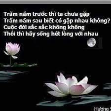 tramnam_792593942.jpg