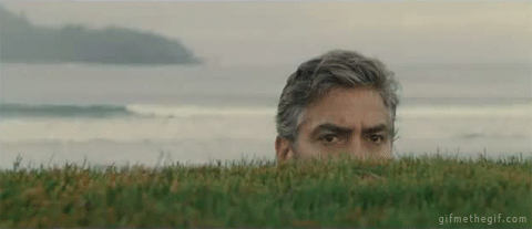 tumblr_inline_mfx58vs3Wo1r8v4r8.gif