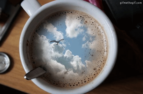 tumblr_m8k3x1HASI1r3gup8o1_500[1].gif