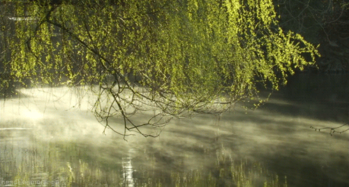 tumblr_moib0wRTCL1r4zr2vo2_r1_500[1].gif