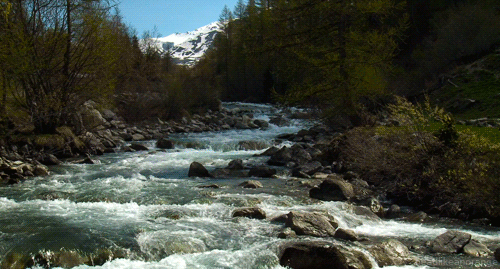 tumblr_mqx880u9KB1r4zr2vo2_r1_500[1].gif