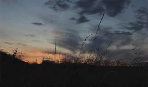 tumblr_mrit9rggcJ1qhu7x0o1_500[1].gif