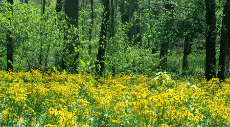tumblr_n8cxloN64f1tvhq1eo3_500[1].gif