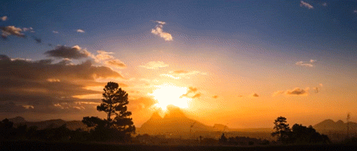 tumblr_nd09i0zSuo1tchrkco1_500[1].gif