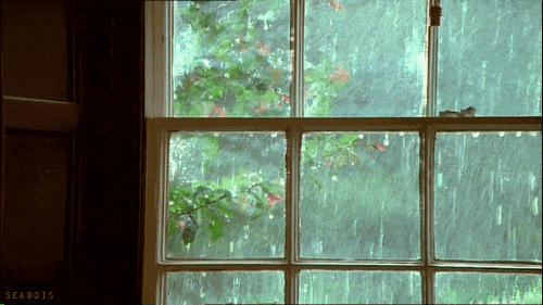 tumblr_nhjkoepRQB1sa2xlto1_500[1].gif