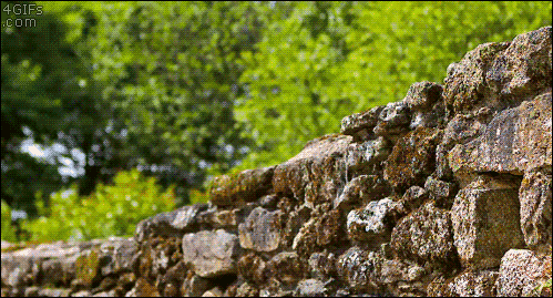 tumblr_npz0s9p2o41tlb56zo1_500.gif